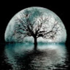 Meet your Posher, Joy